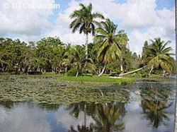 International Symposium on Wetlands underway in Zapata Swamp